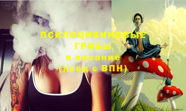 гашиш Няндома